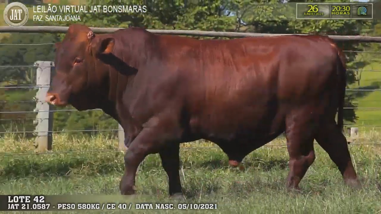 VideoScreenshot--YouTube-LOTE042-0’01”