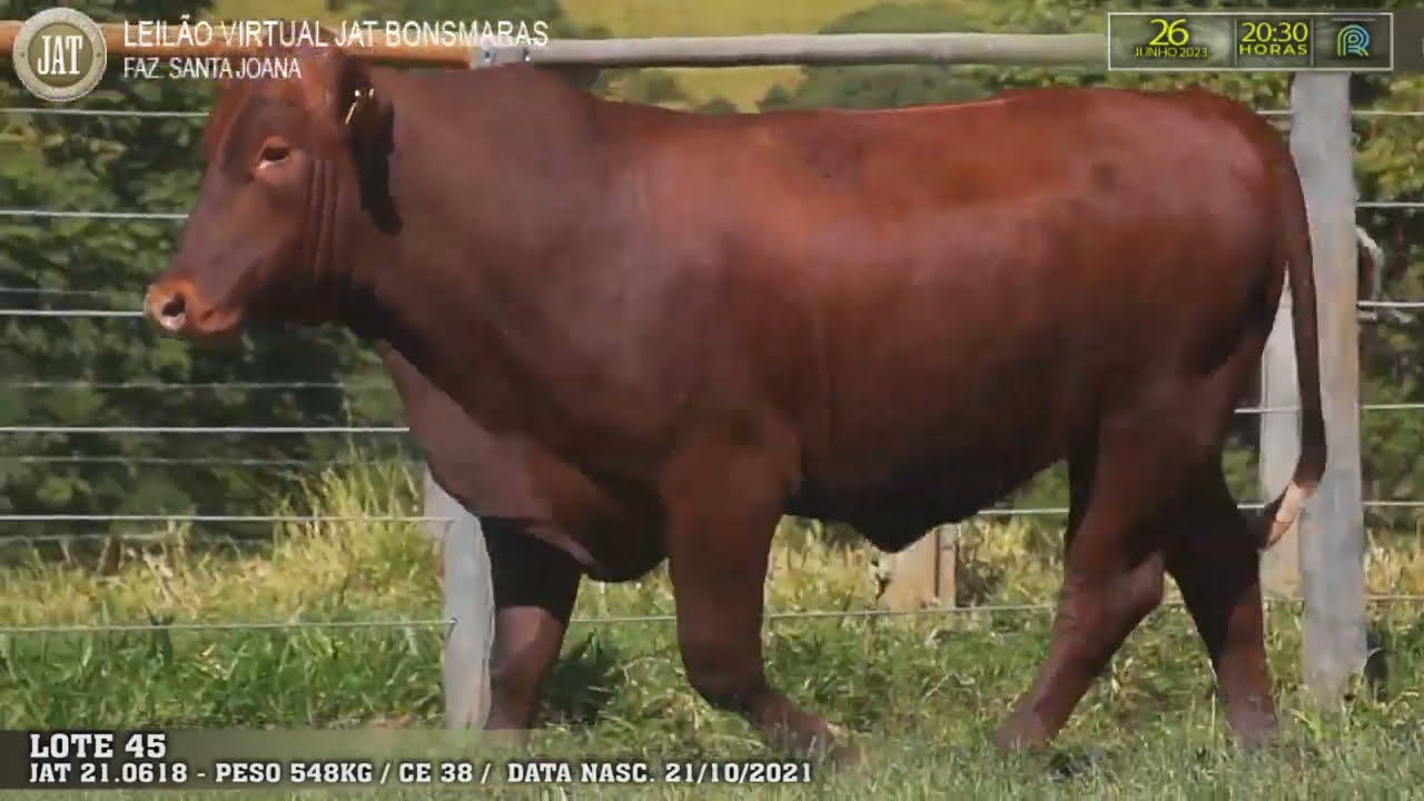 VideoScreenshot--YouTube-LOTE045-0’01”