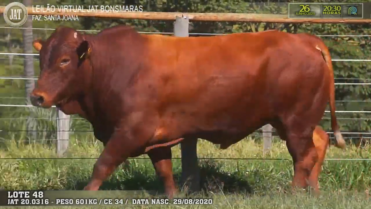 VideoScreenshot--YouTube-LOTE048-0’01”