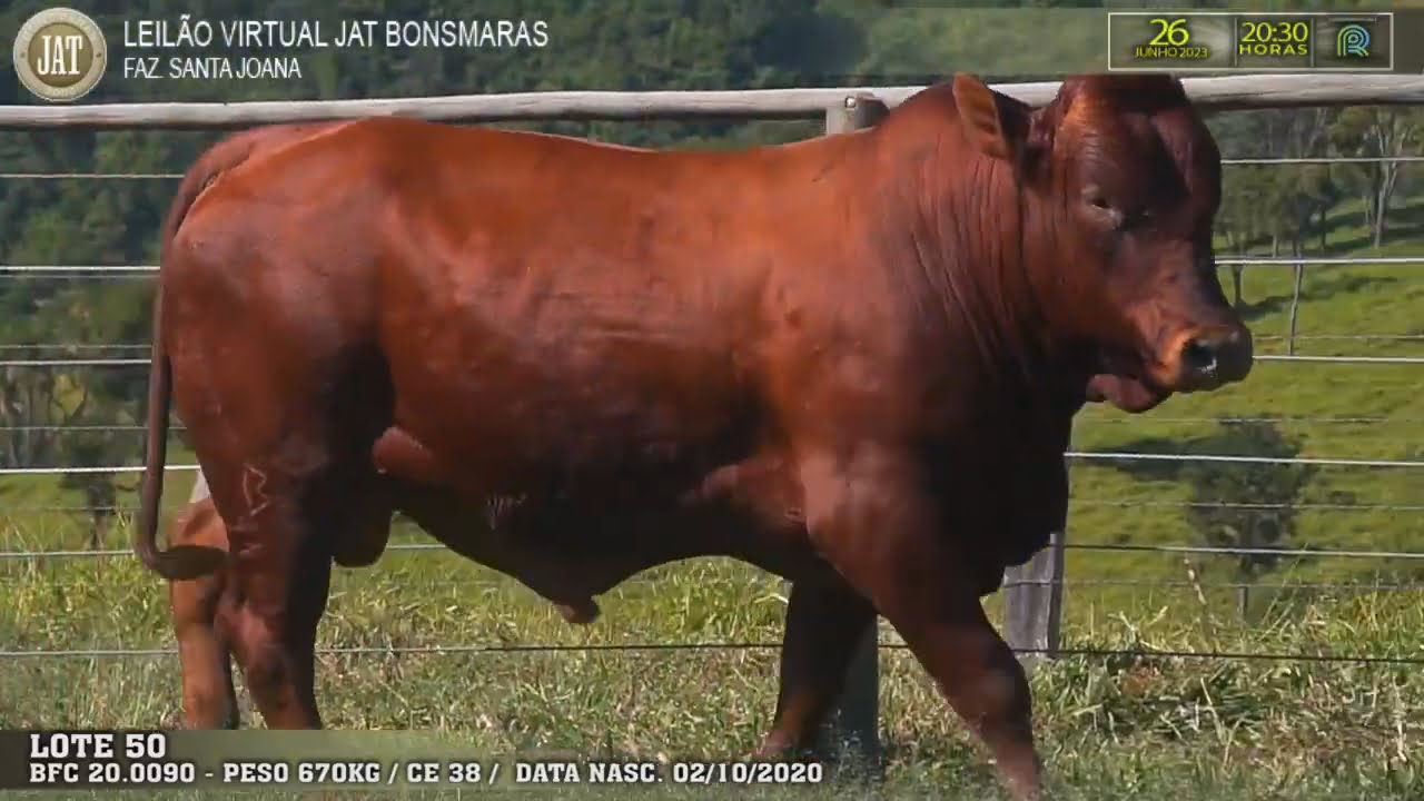 VideoScreenshot--YouTube-LOTE050-0’01”