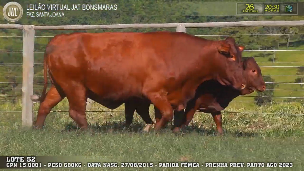 VideoScreenshot--YouTube-LOTE052-0’01”