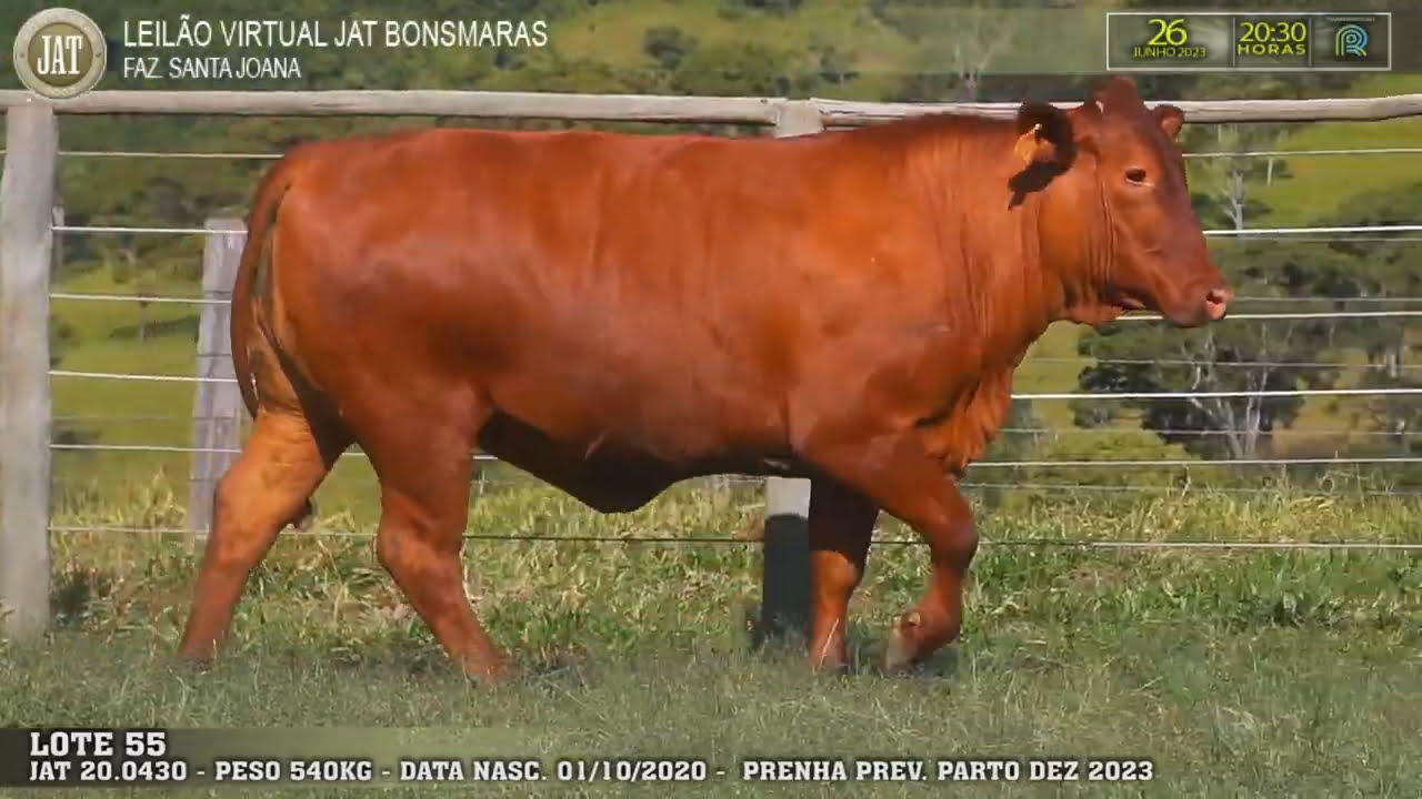 VideoScreenshot--YouTube-LOTE055-0’01”