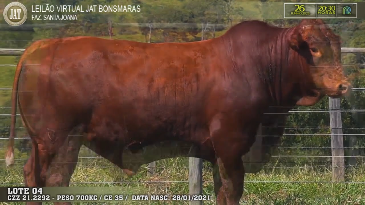 VideoScreenshot--YouTube-LeiloJat2023-LOTE004-0’03”