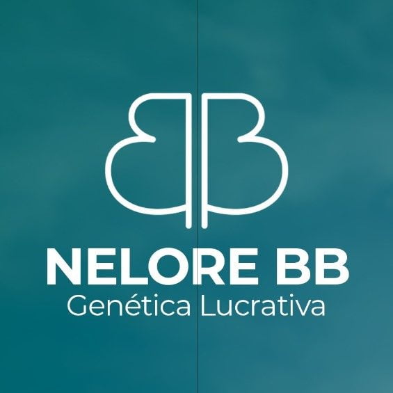 Nelore BB