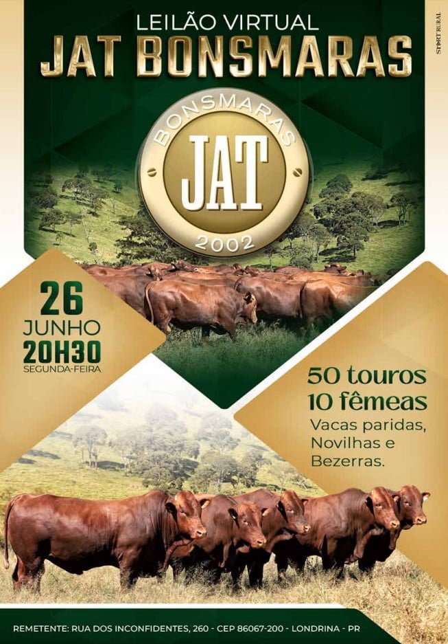 leilão-jatbonsmaras-2023