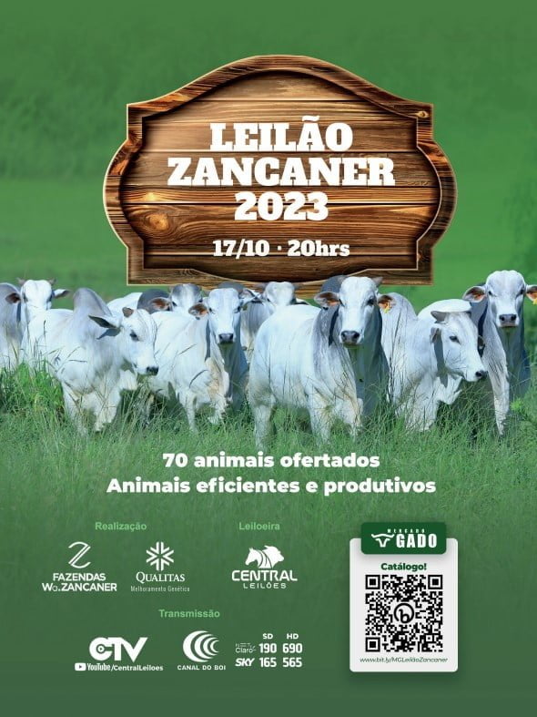 Leilão Zancaner 2023
