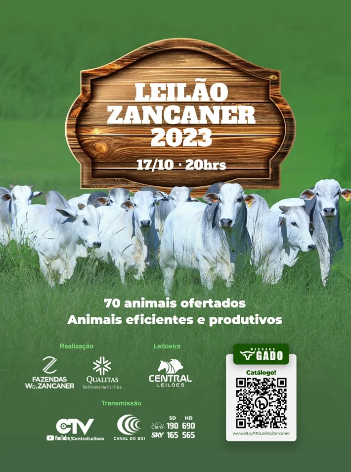 V1-Banner-Leilao-Zancaner