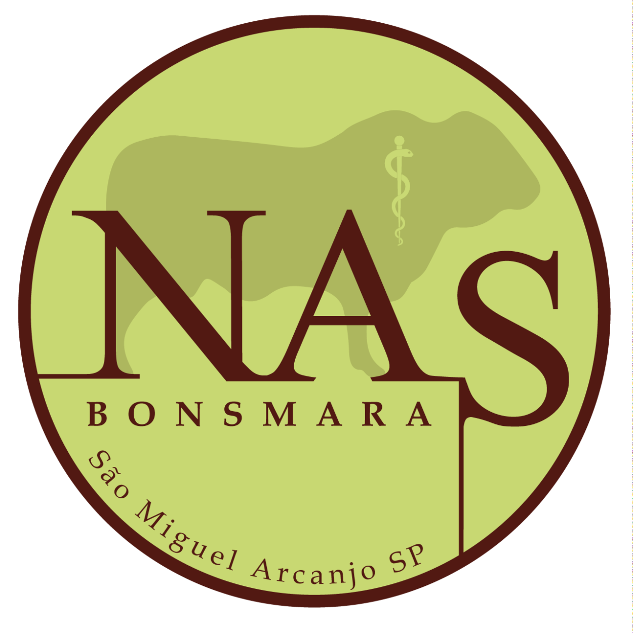 NAS Bonsmara