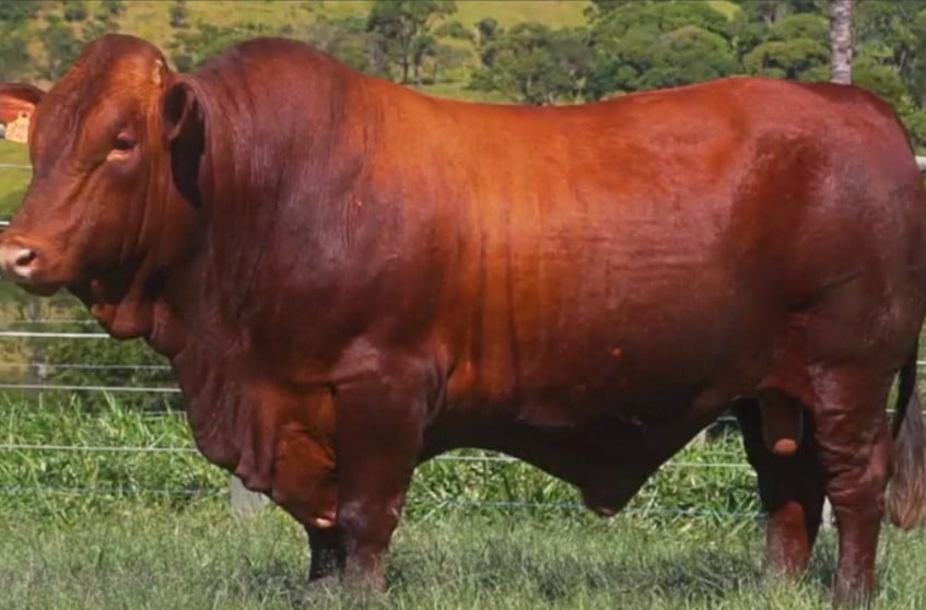 Captura de tela 2023-09-13 080735