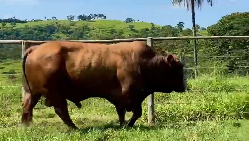 VS--YouTube-TouroBonsmaraCCP18-0032-Bruck-0’11”