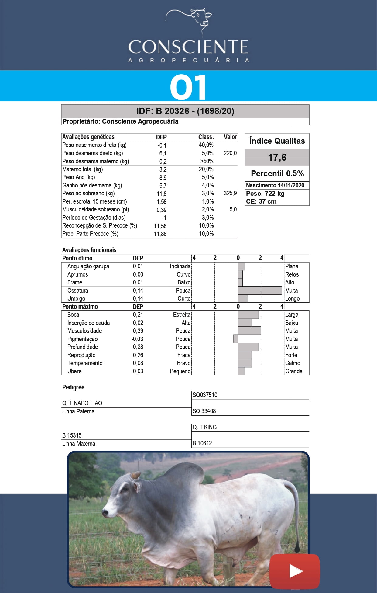 _ Catalogo Consciente Agropecuaria_page-0004