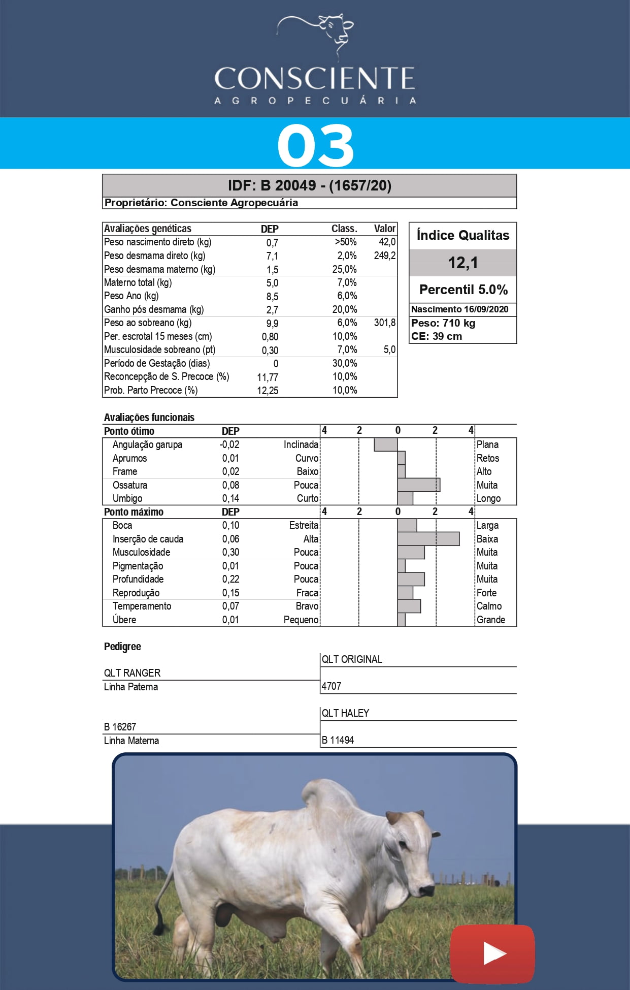 _ Catalogo Consciente Agropecuaria_page-0006
