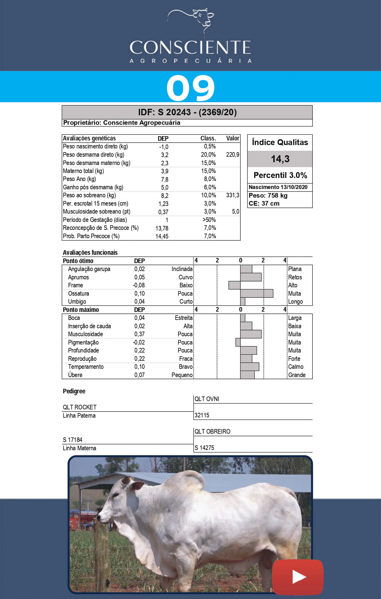 _ Catalogo Consciente Agropecuaria_page-0012