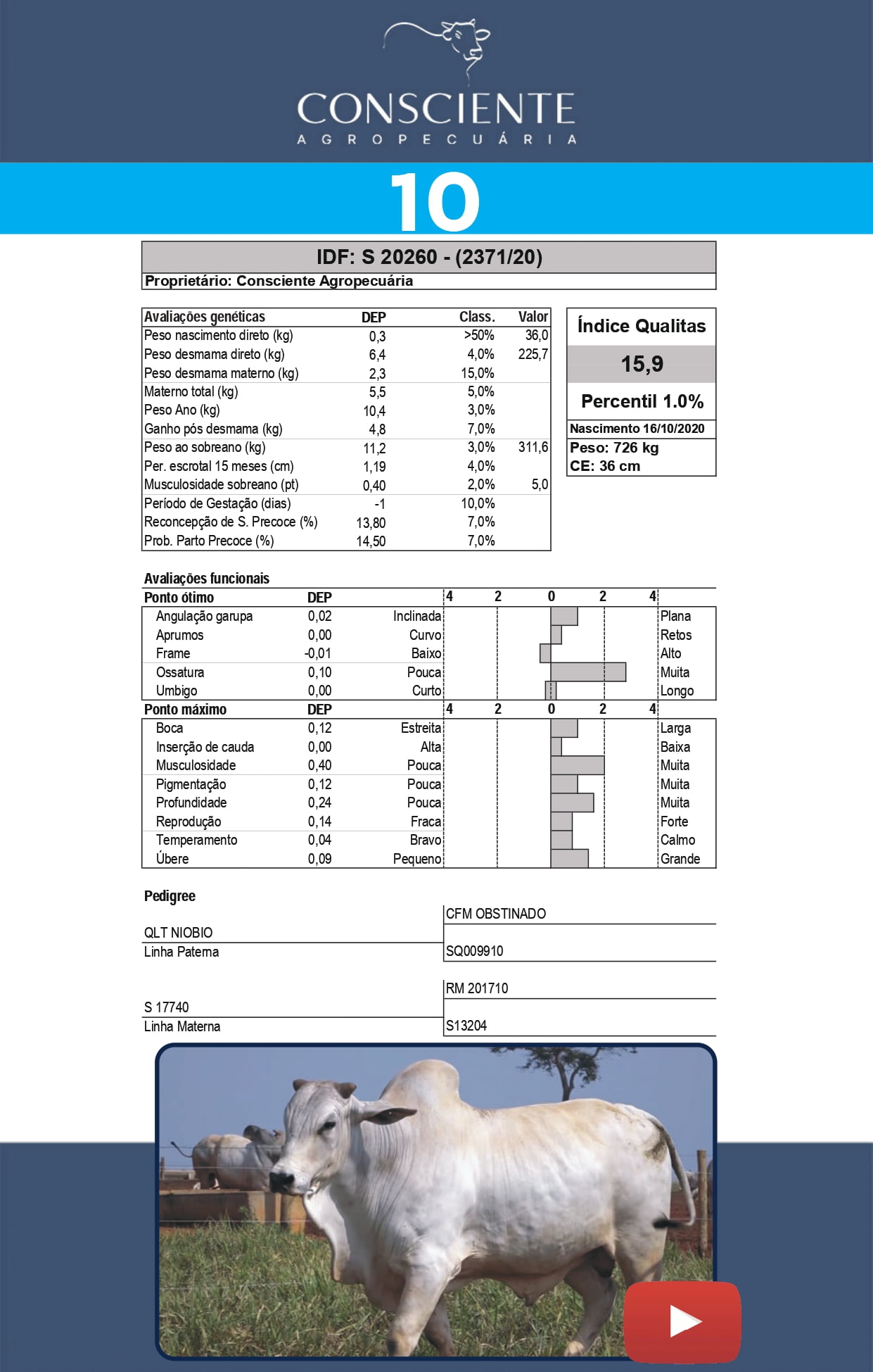 _ Catalogo Consciente Agropecuaria_page-0013