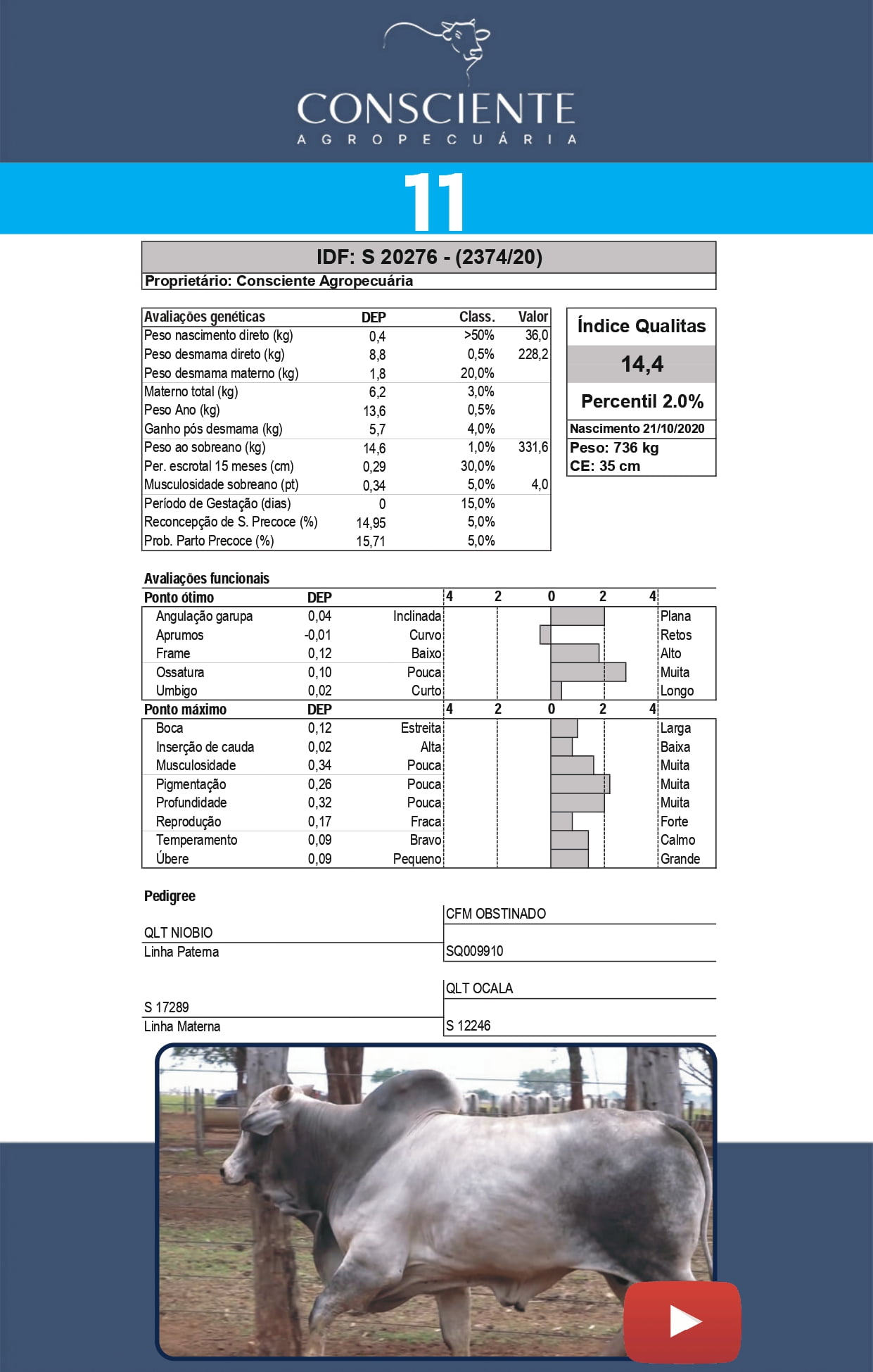 _ Catalogo Consciente Agropecuaria_page-0014