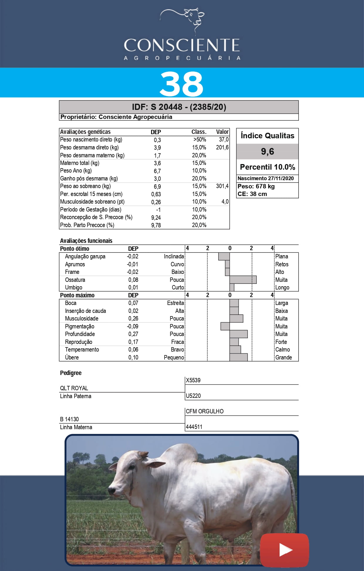 _ Catalogo Consciente Agropecuaria_page-0041
