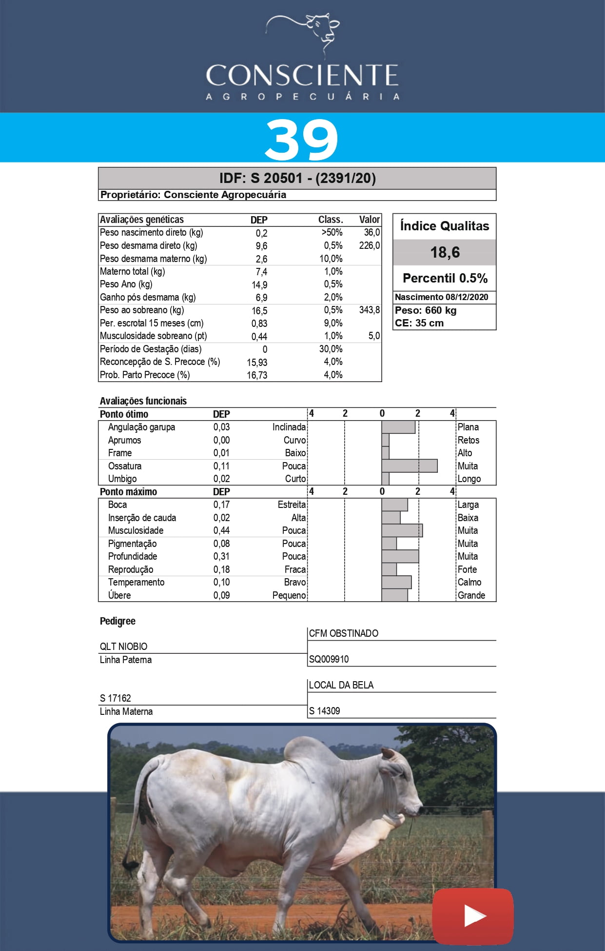 _ Catalogo Consciente Agropecuaria_page-0042