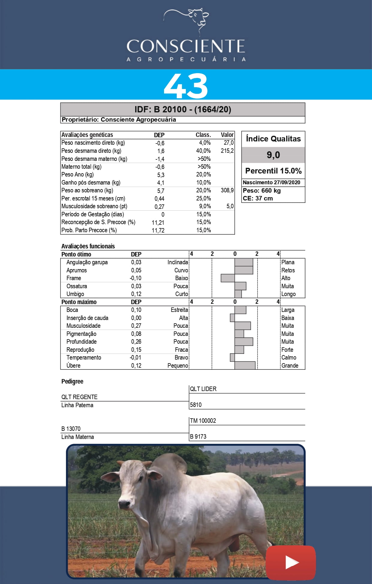 _ Catalogo Consciente Agropecuaria_page-0046