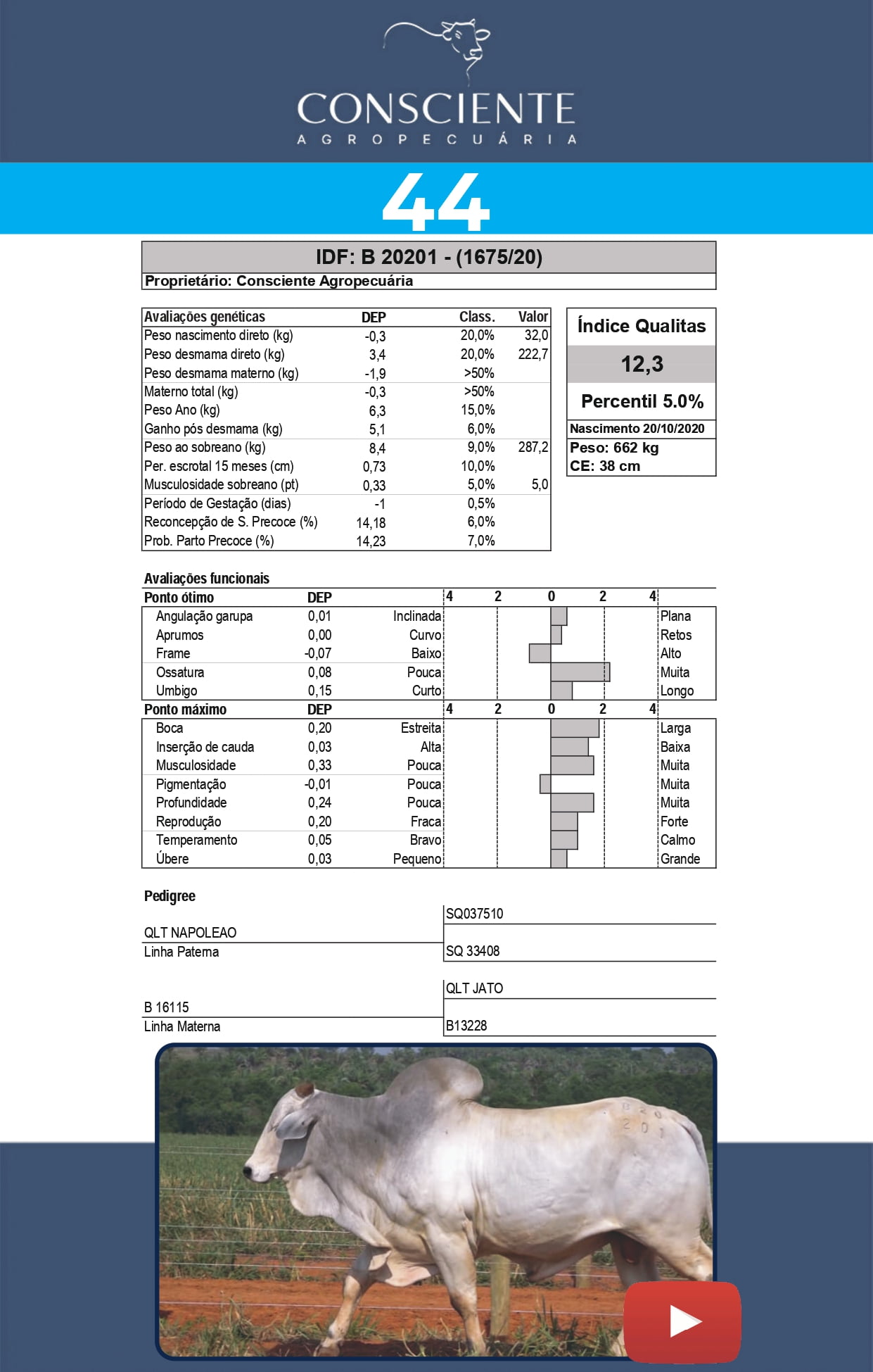 _ Catalogo Consciente Agropecuaria_page-0047