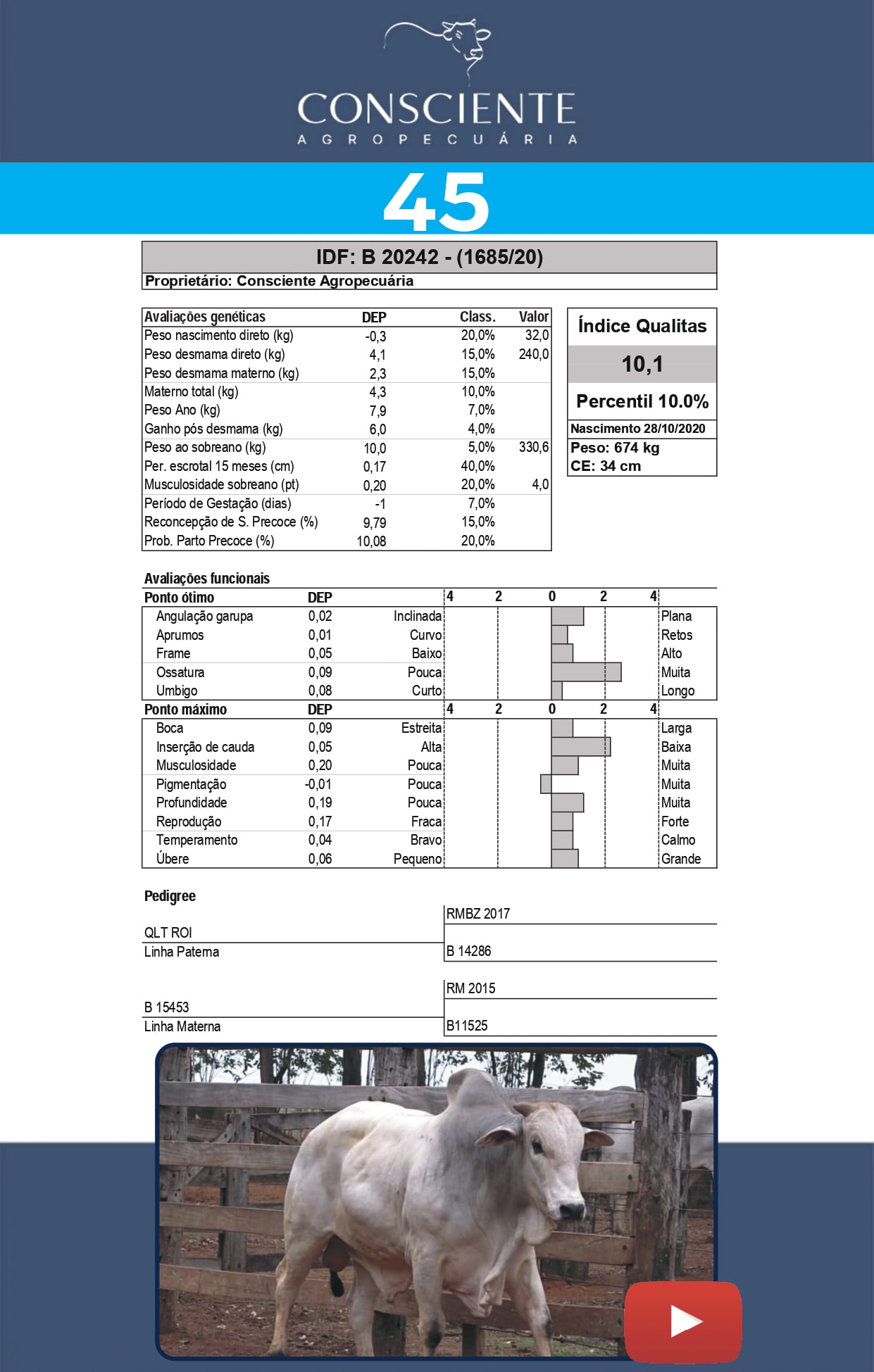 _ Catalogo Consciente Agropecuaria_page-0048