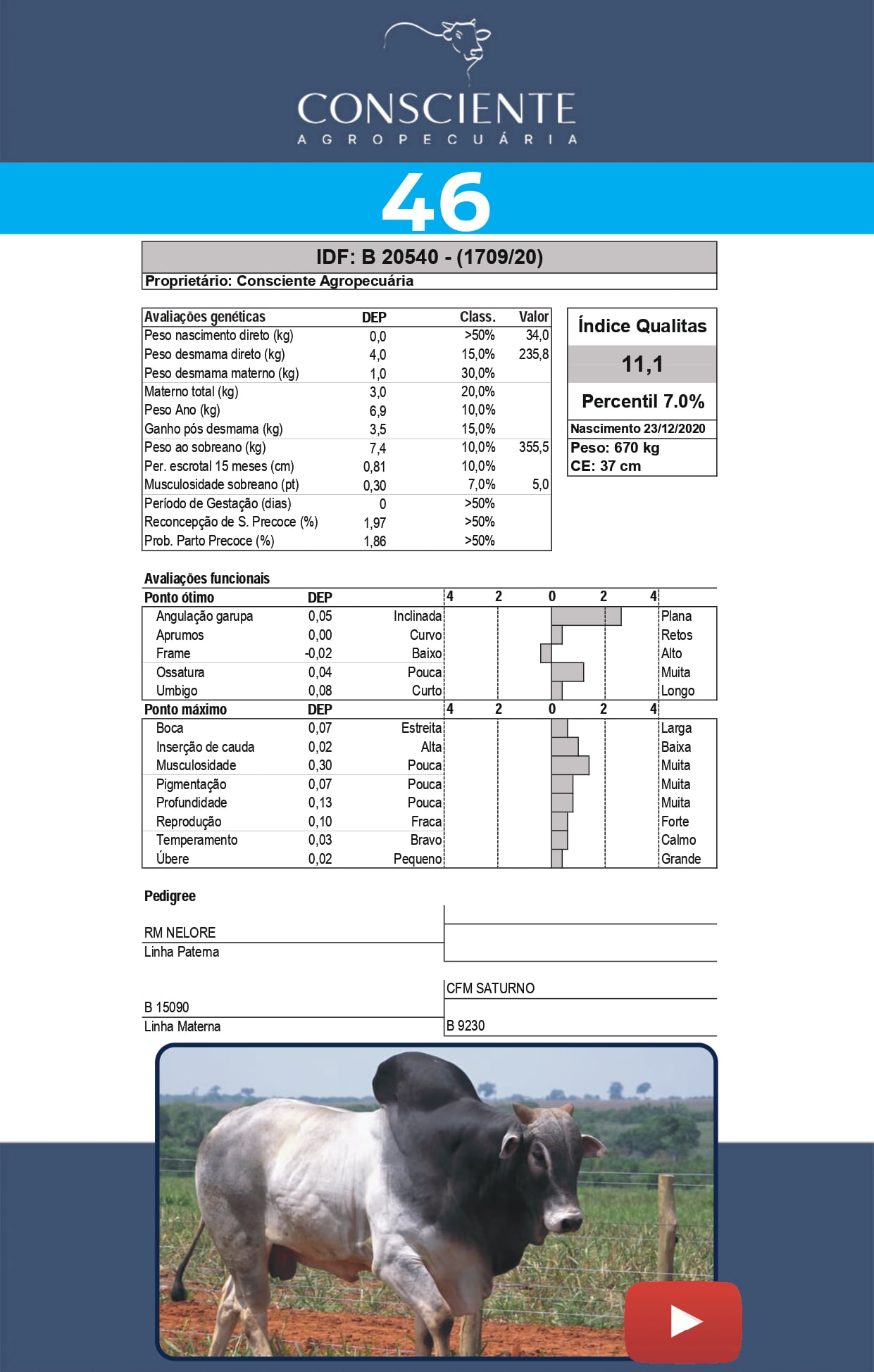 _ Catalogo Consciente Agropecuaria_page-0049