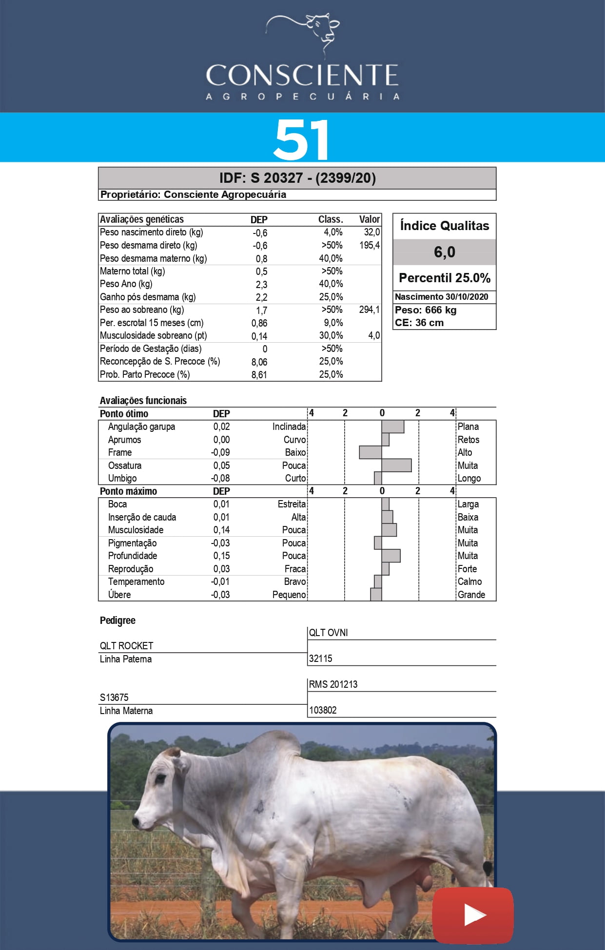 _ Catalogo Consciente Agropecuaria_page-0054