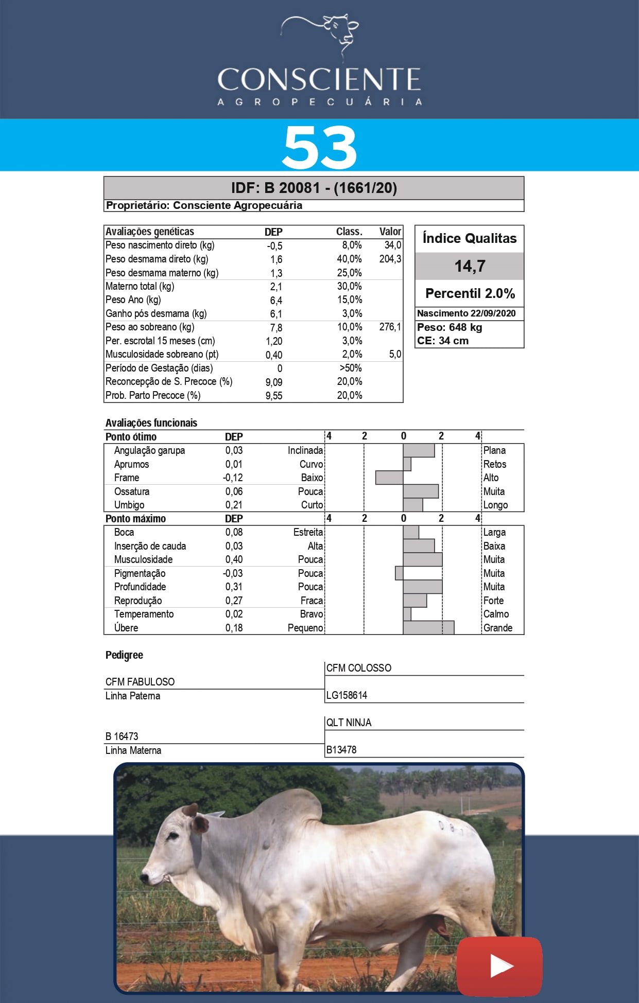 _ Catalogo Consciente Agropecuaria_page-0056