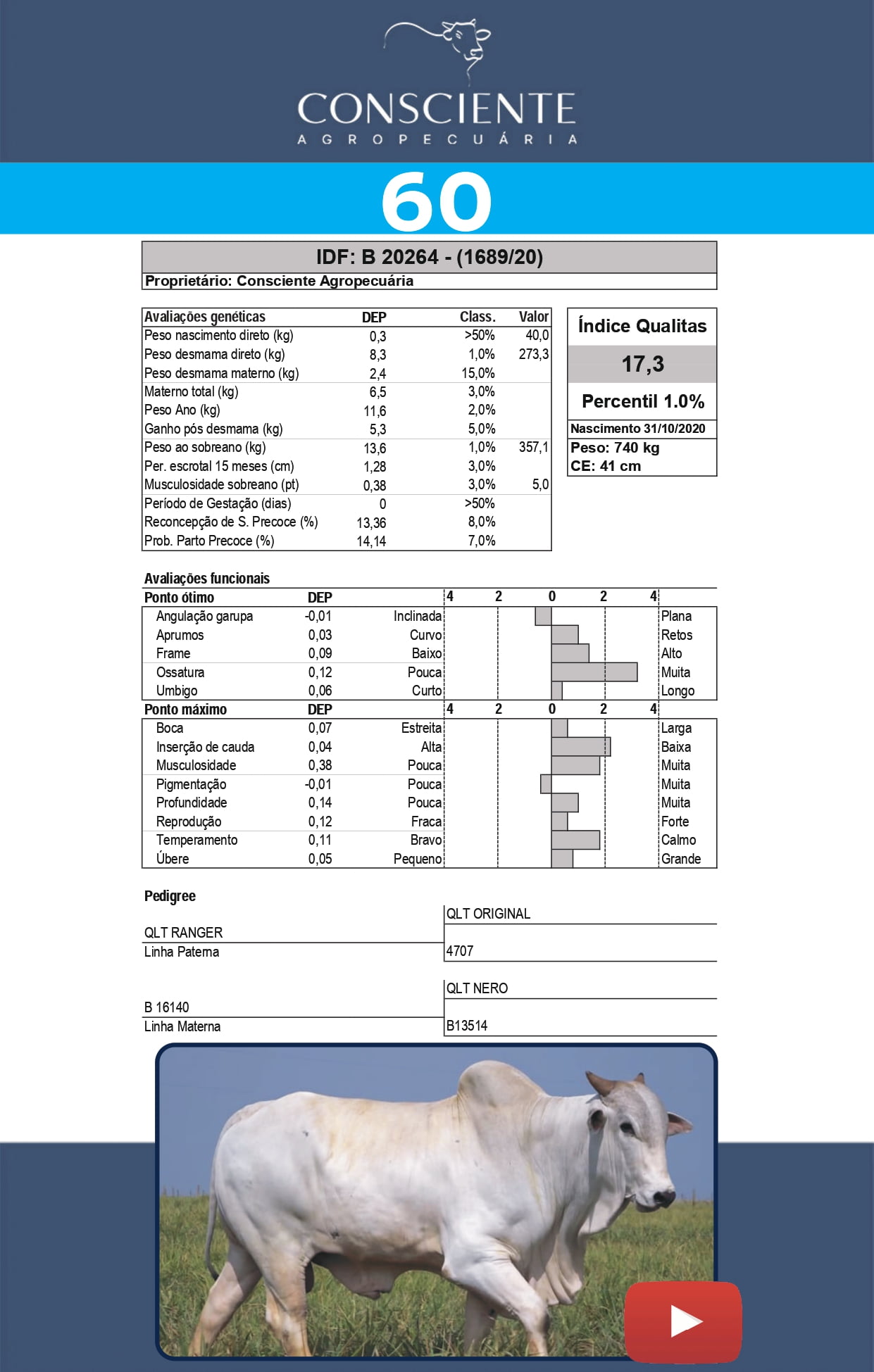 _ Catalogo Consciente Agropecuaria_page-0063