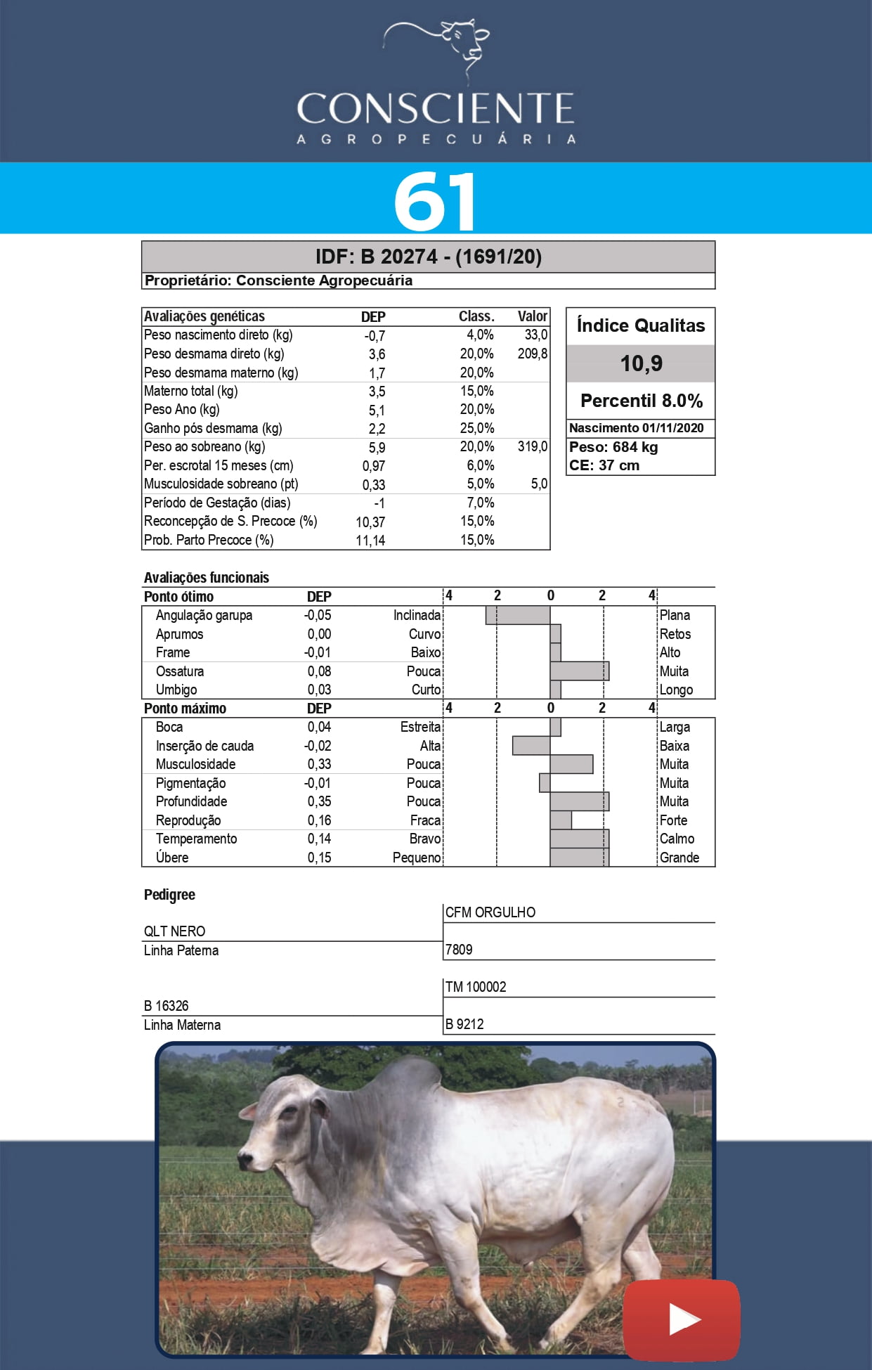 _ Catalogo Consciente Agropecuaria_page-0064