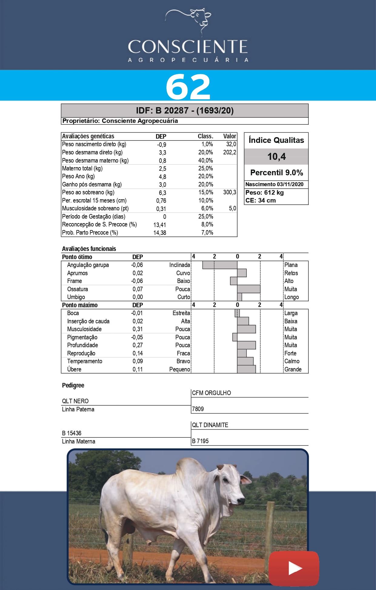 _ Catalogo Consciente Agropecuaria_page-0065