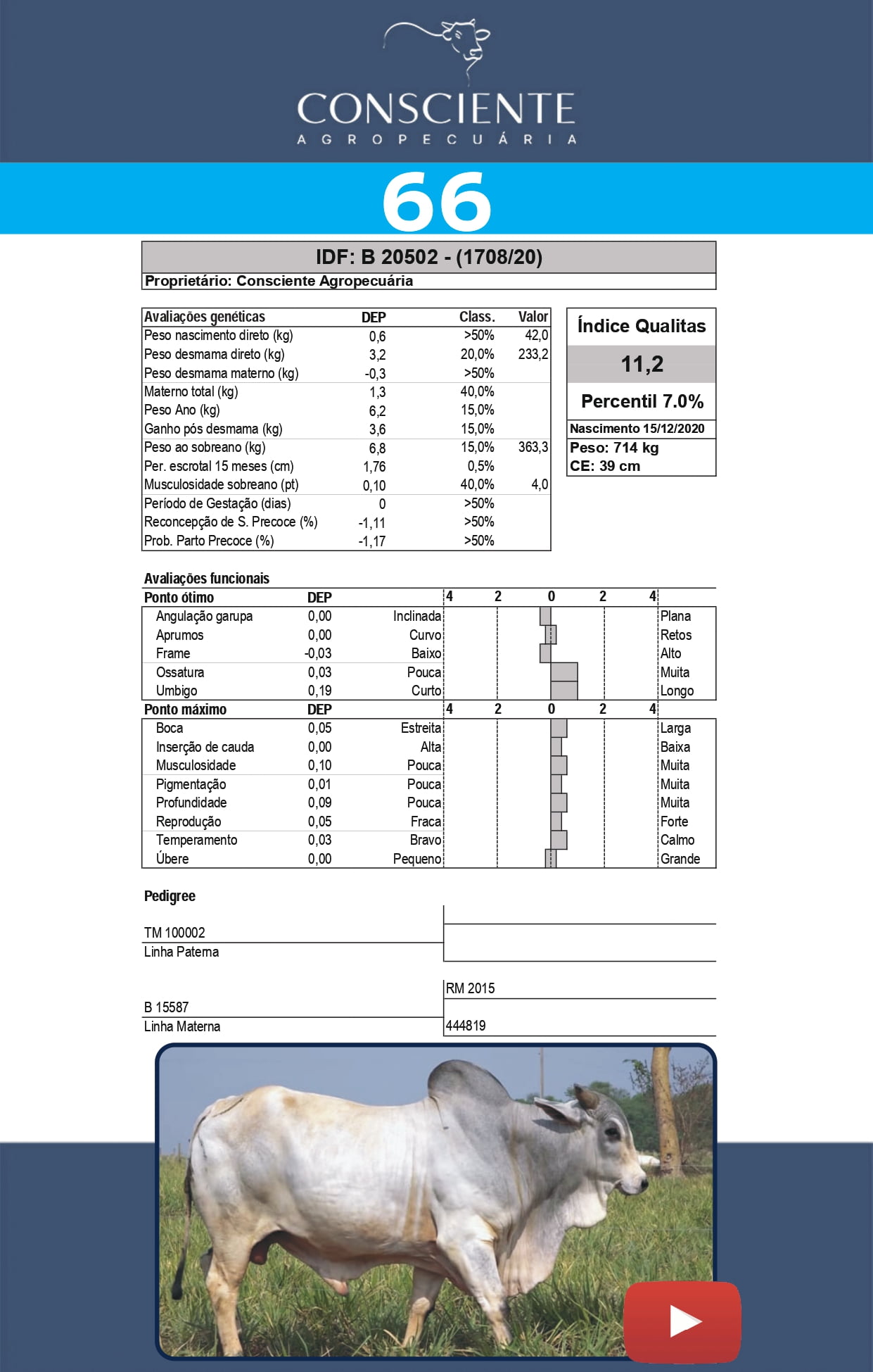 _ Catalogo Consciente Agropecuaria_page-0069