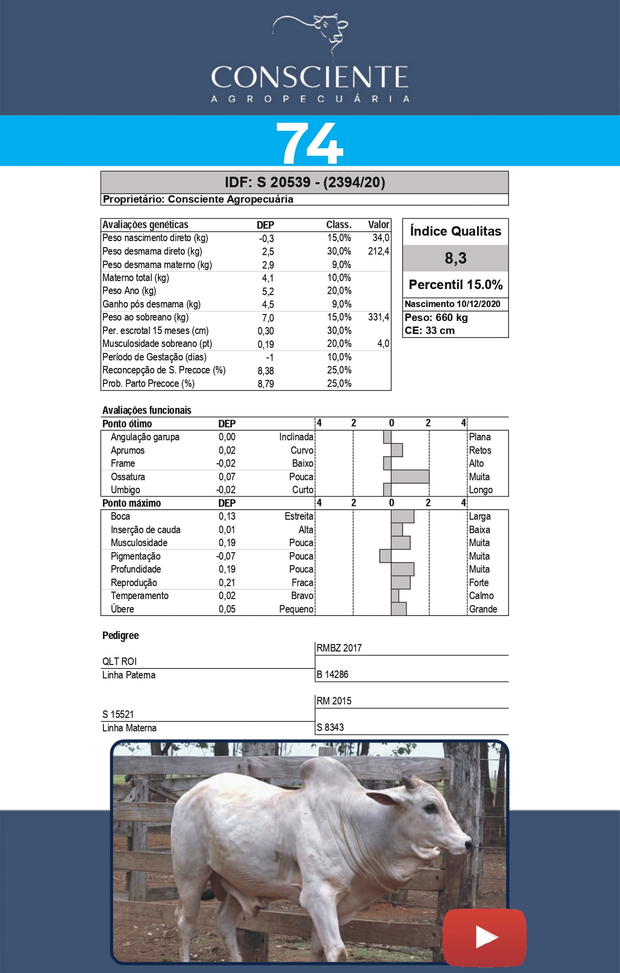 _ Catalogo Consciente Agropecuaria_page-0077