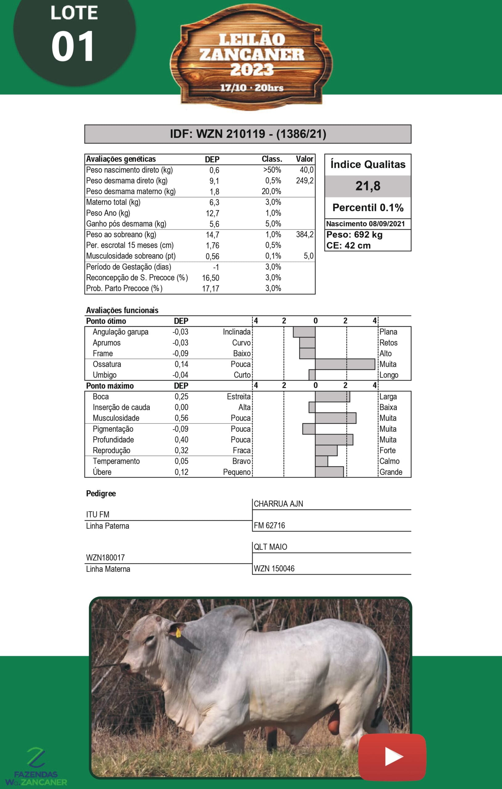 Catalogo_W_Zancaner (1)_page-0004