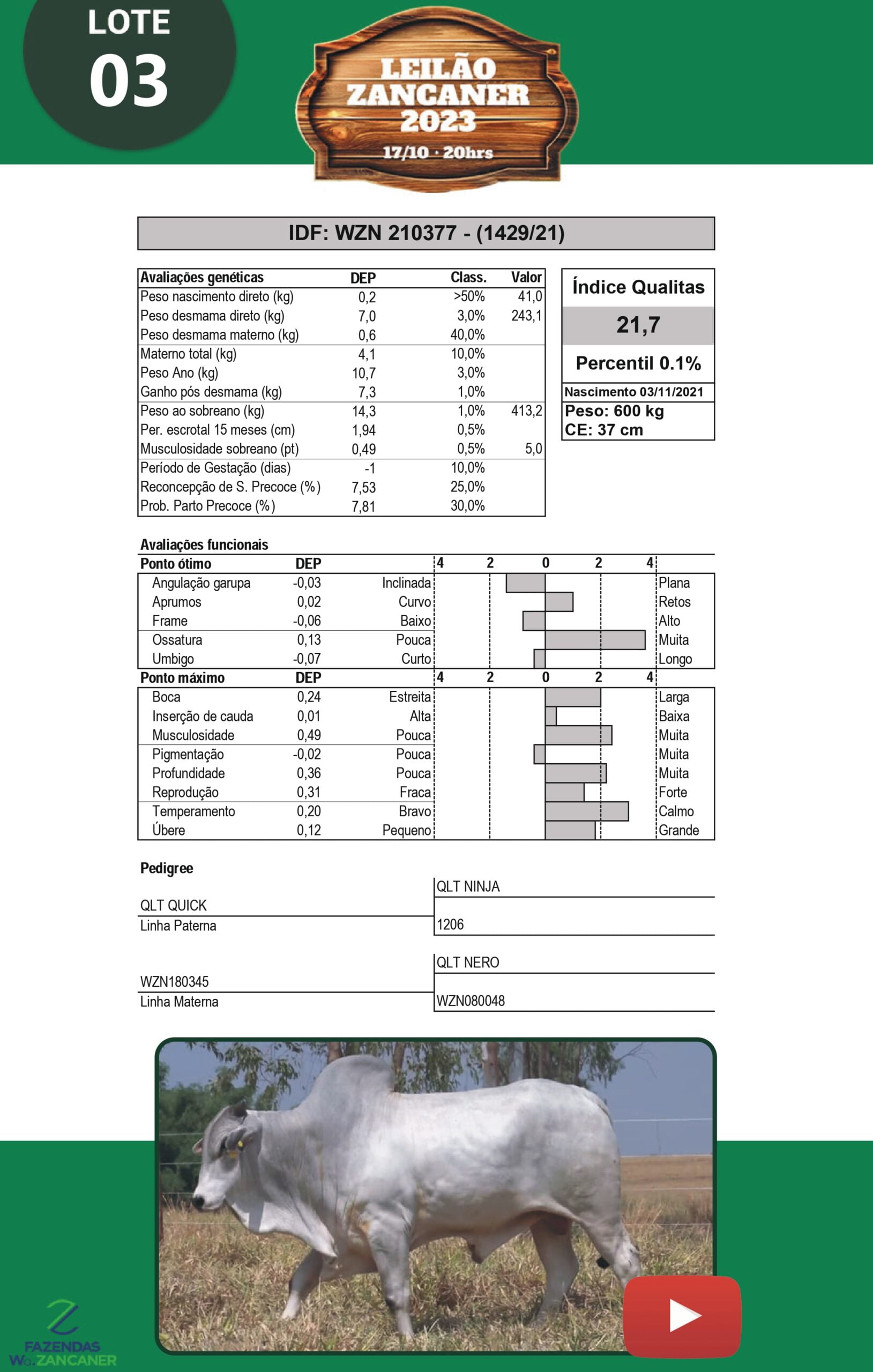 Catalogo_W_Zancaner (1)_page-0006