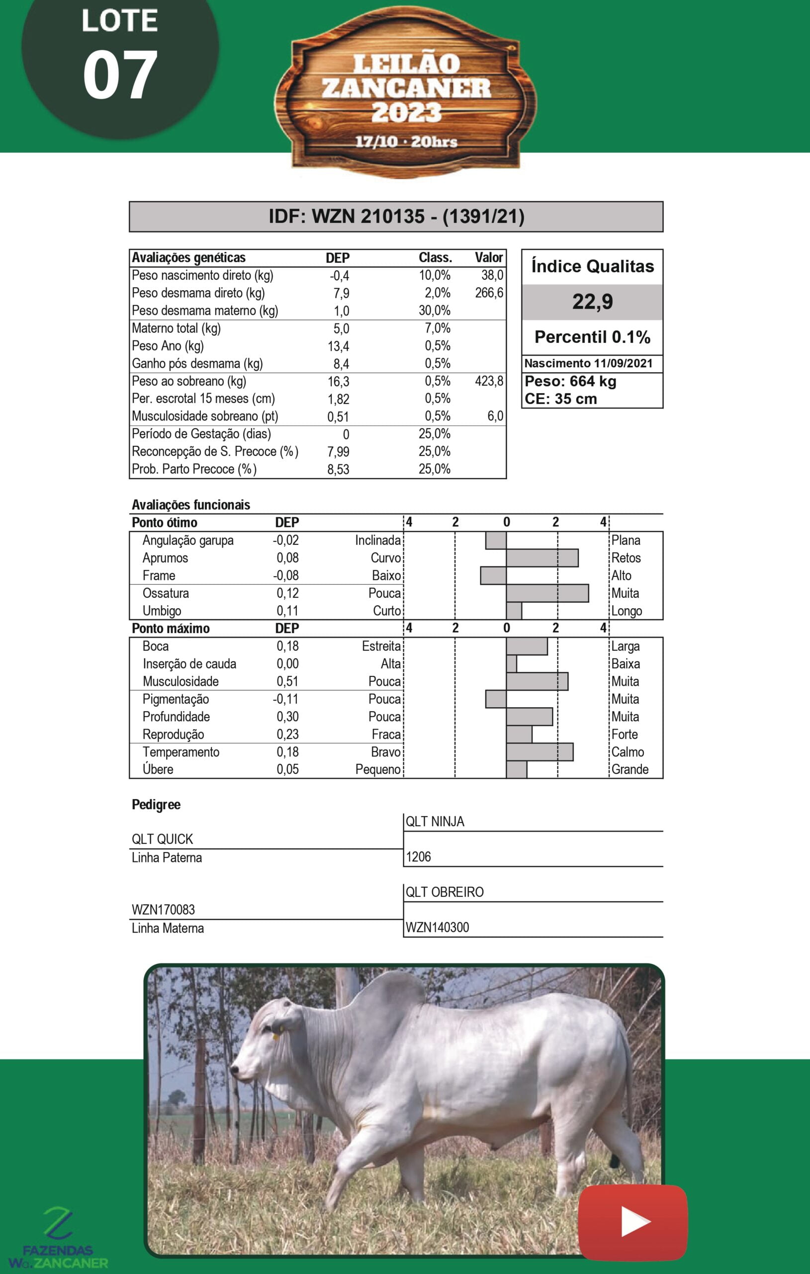 Catalogo_W_Zancaner (1)_page-0010