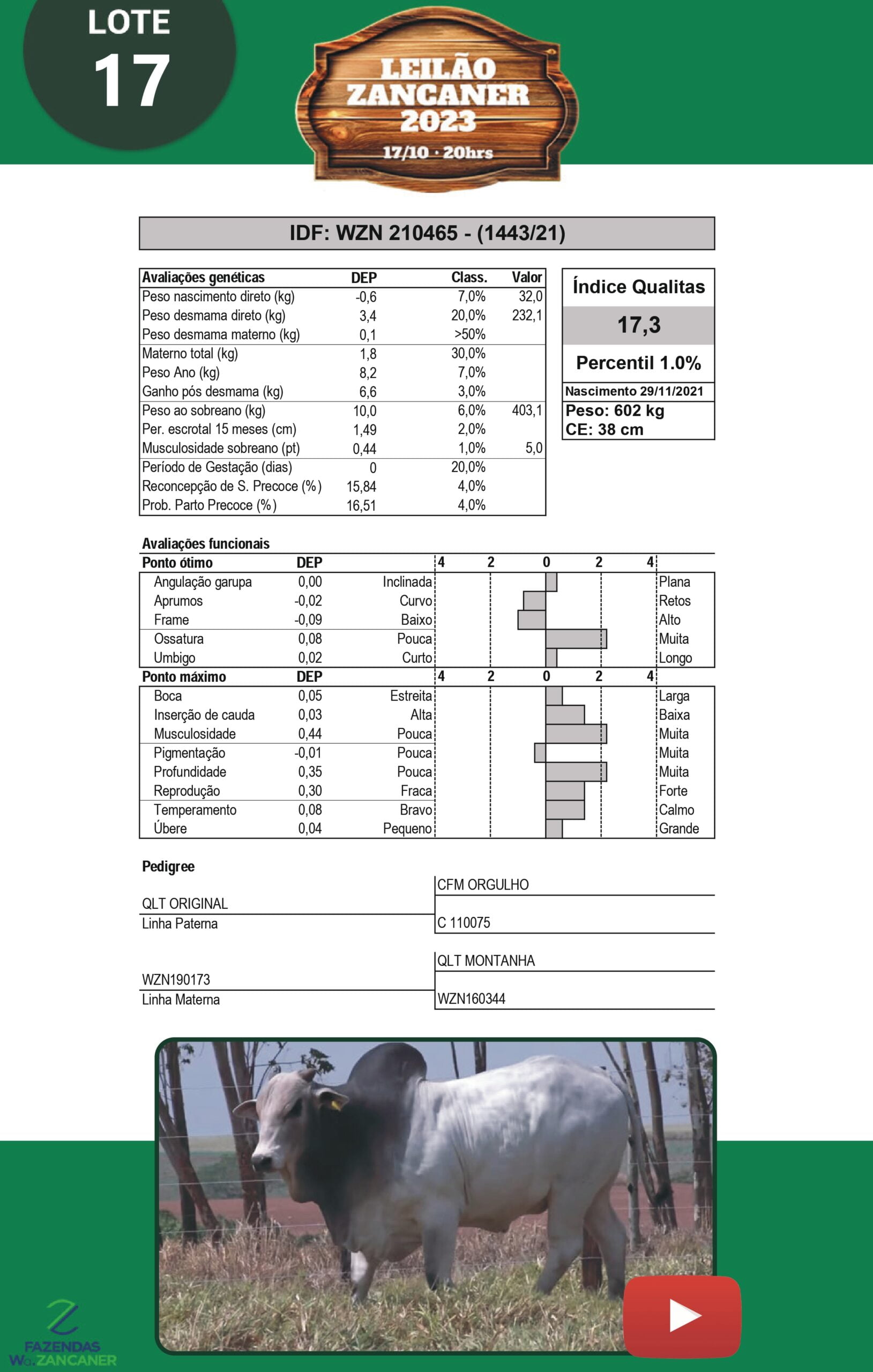 Catalogo_W_Zancaner (1)_page-0020