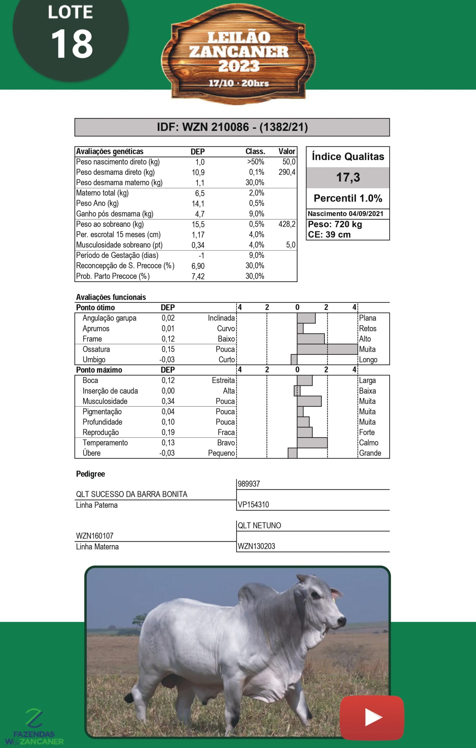Catalogo_W_Zancaner (1)_page-0021