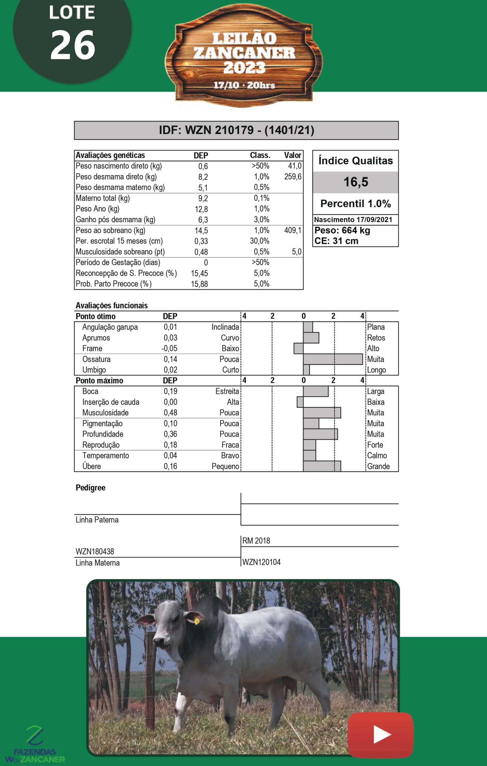 Catalogo_W_Zancaner (1)_page-0029