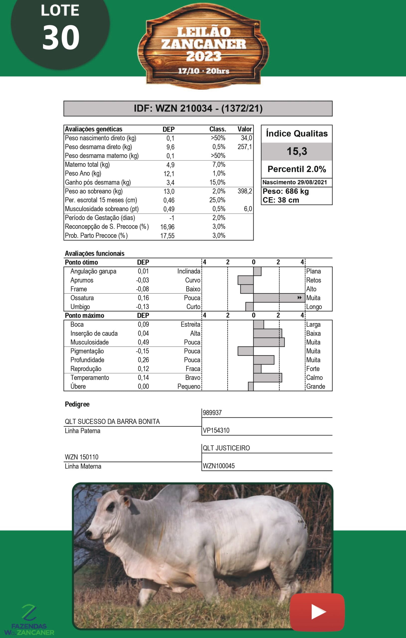 Catalogo_W_Zancaner (1)_page-0033