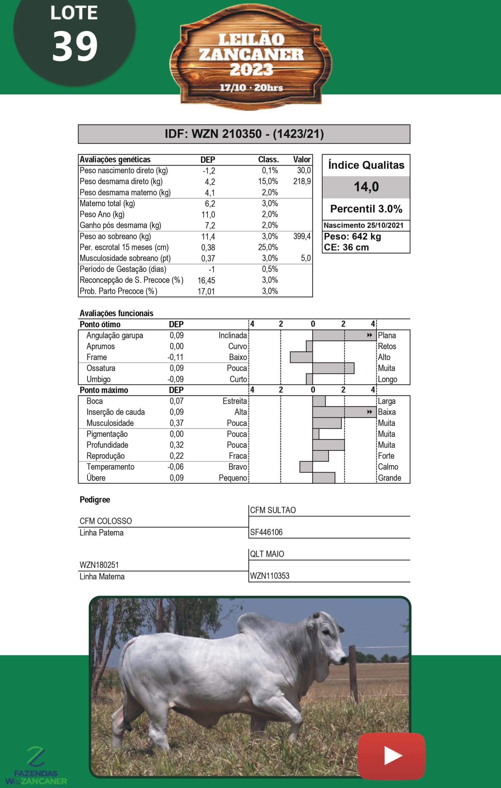 Catalogo_W_Zancaner (1)_page-0042