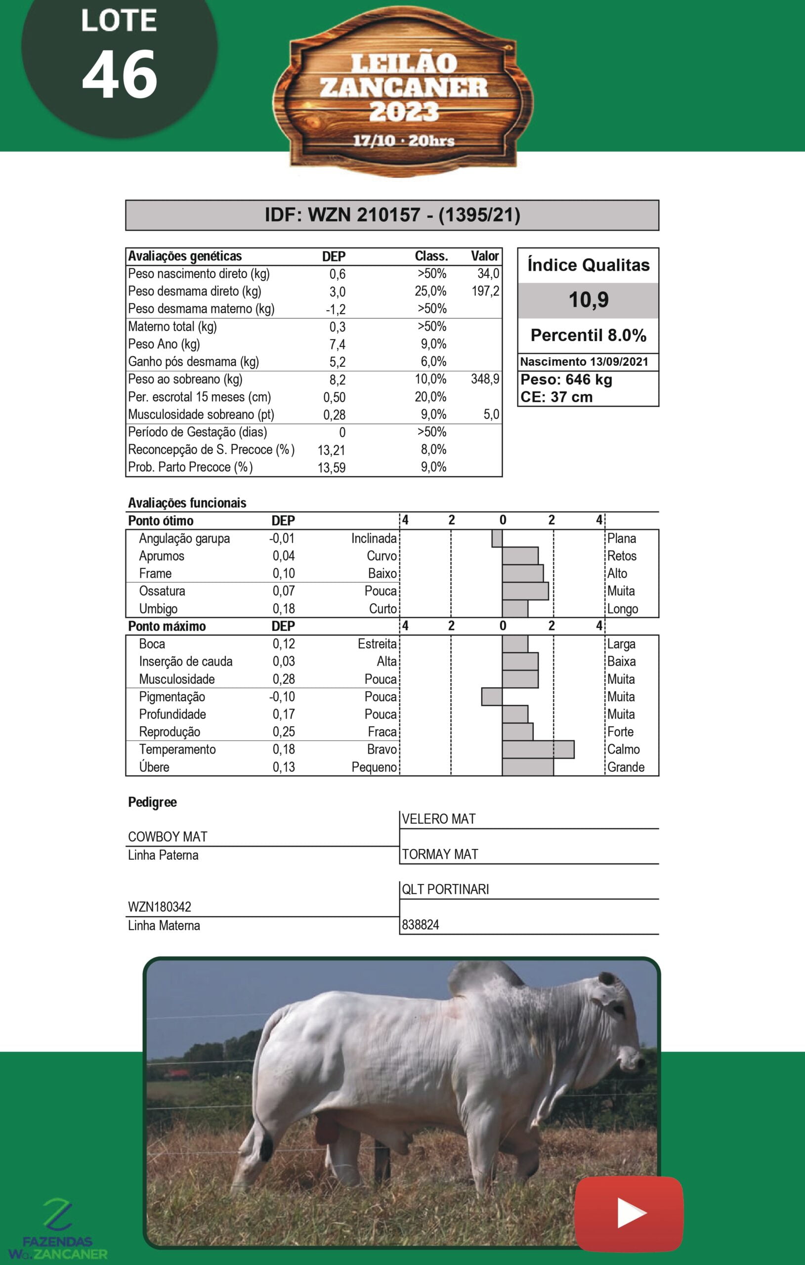 Catalogo_W_Zancaner (1)_page-0049