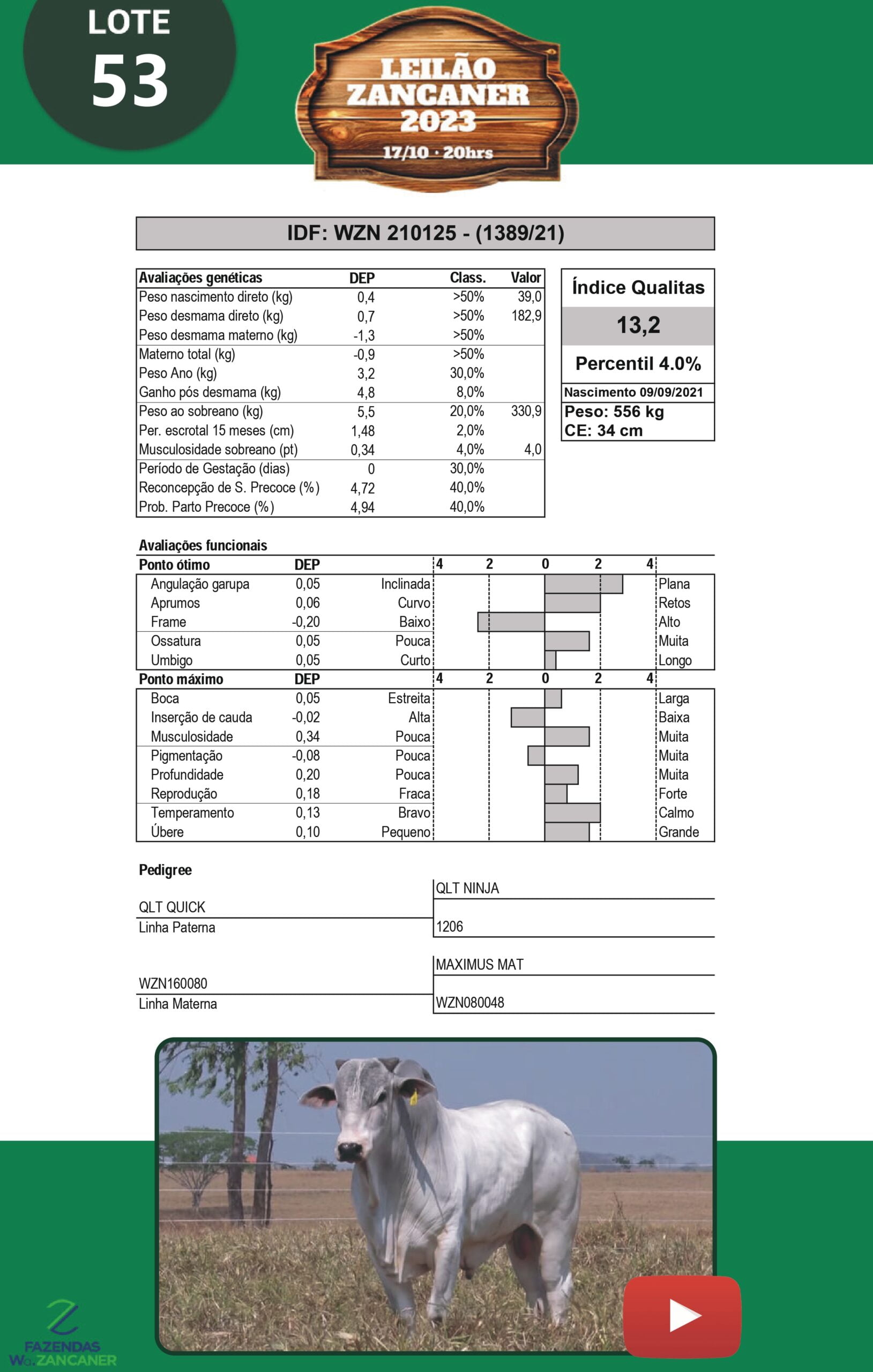 Catalogo_W_Zancaner (1)_page-0056