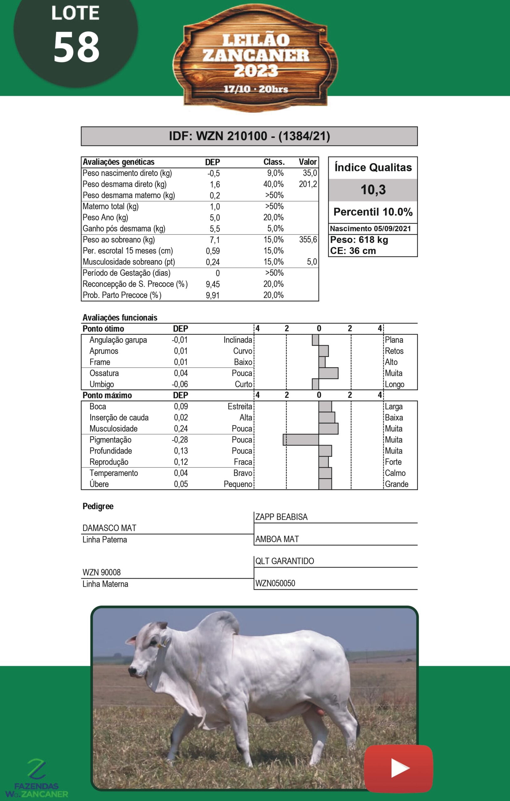 Catalogo_W_Zancaner (1)_page-0061