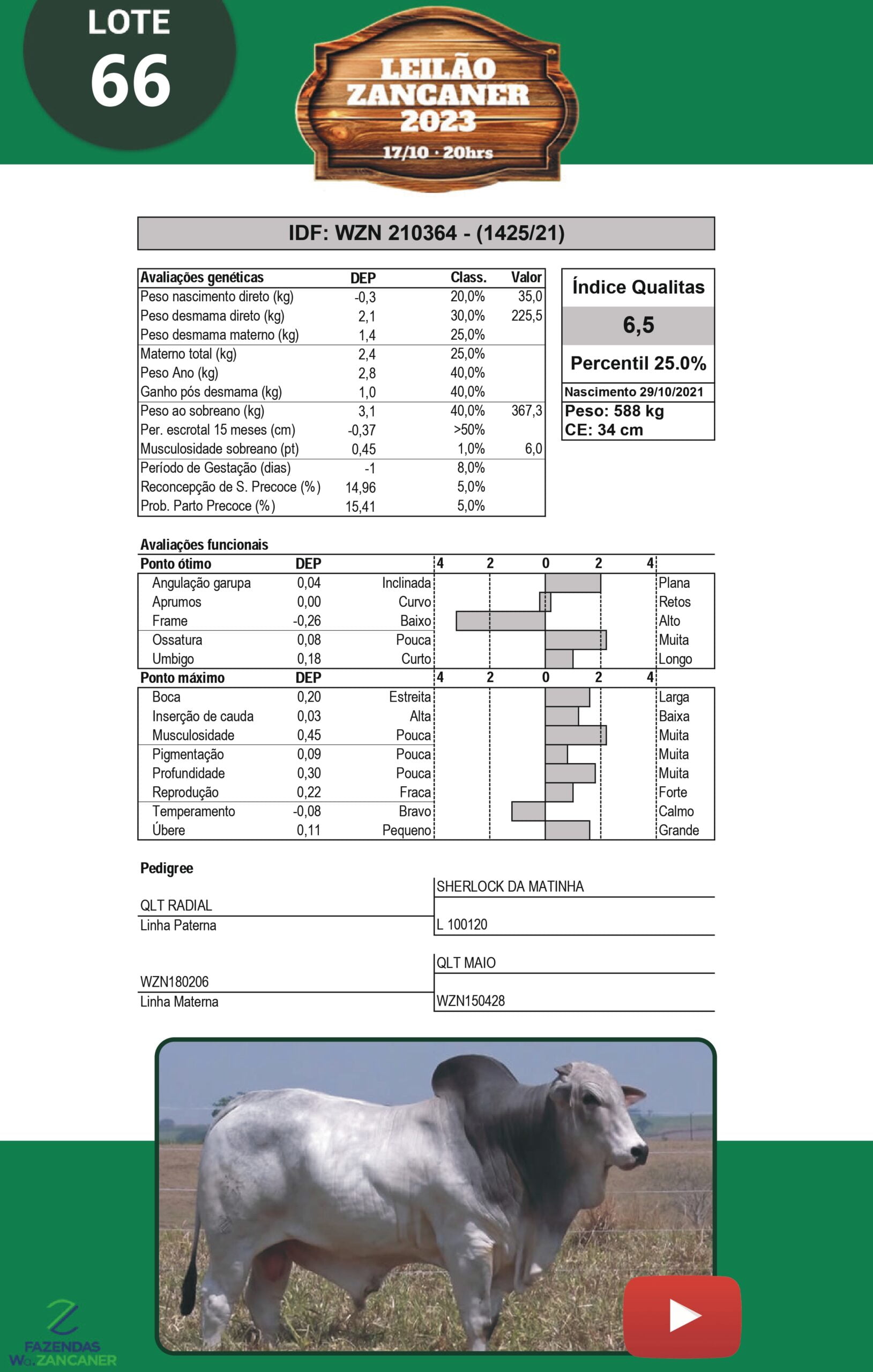 Catalogo_W_Zancaner (1)_page-0069