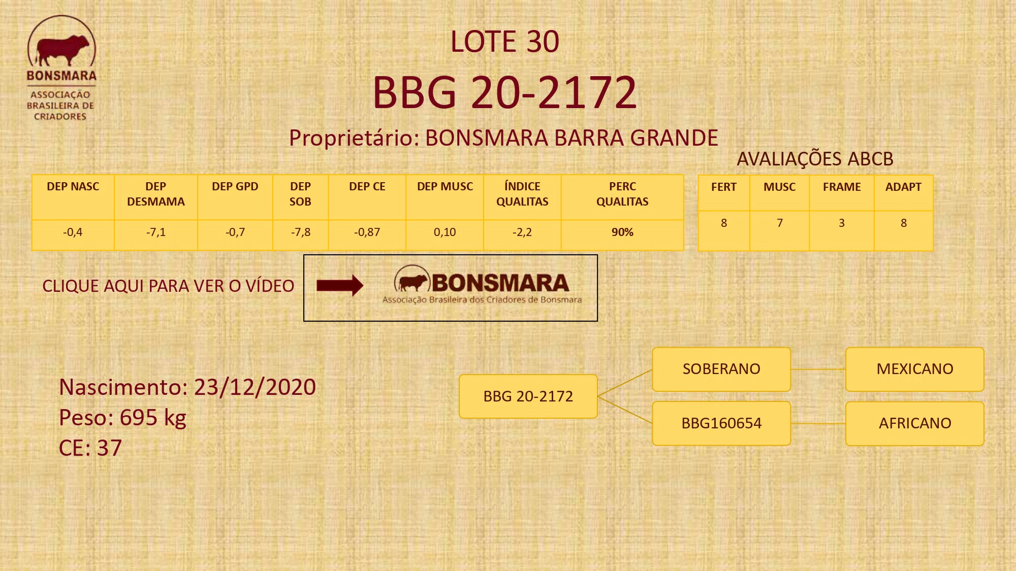 LEILÃO BONSMARA BRASIL 2023_pages-to-jpg-0031