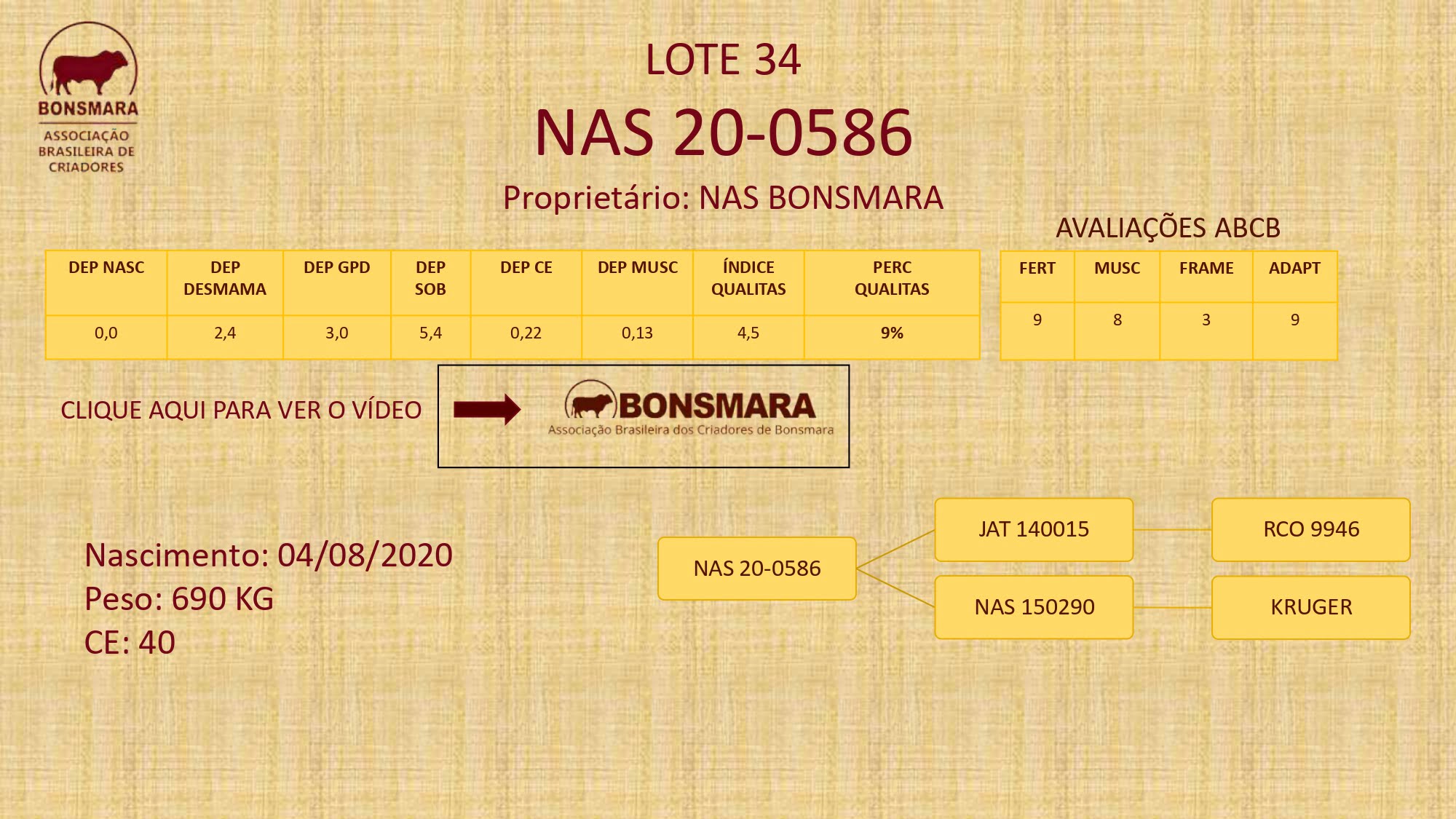 LEILÃO BONSMARA BRASIL 2023_pages-to-jpg-0034