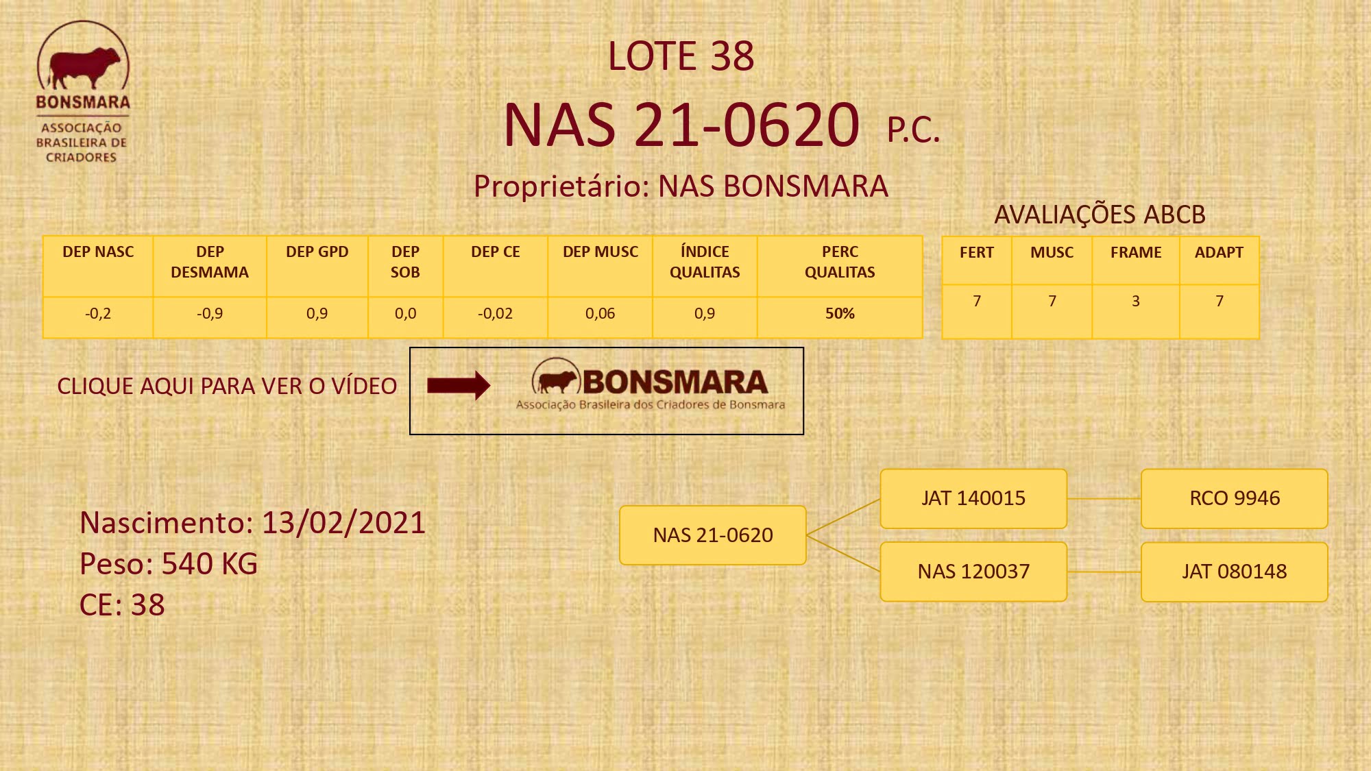 LEILÃO BONSMARA BRASIL 2023_pages-to-jpg-0038