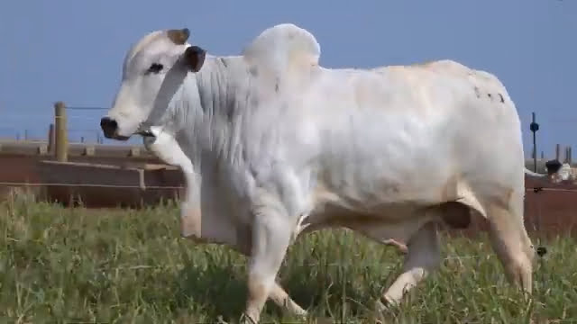 VS--YouTube-LOTE03B200491-0’10”