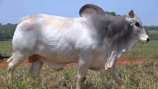 VS--YouTube-LOTE06S200221-0’04”