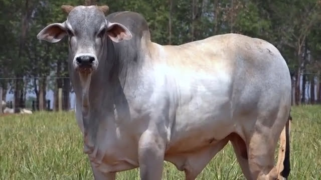 VS--YouTube-LOTE07S200821-0’02”